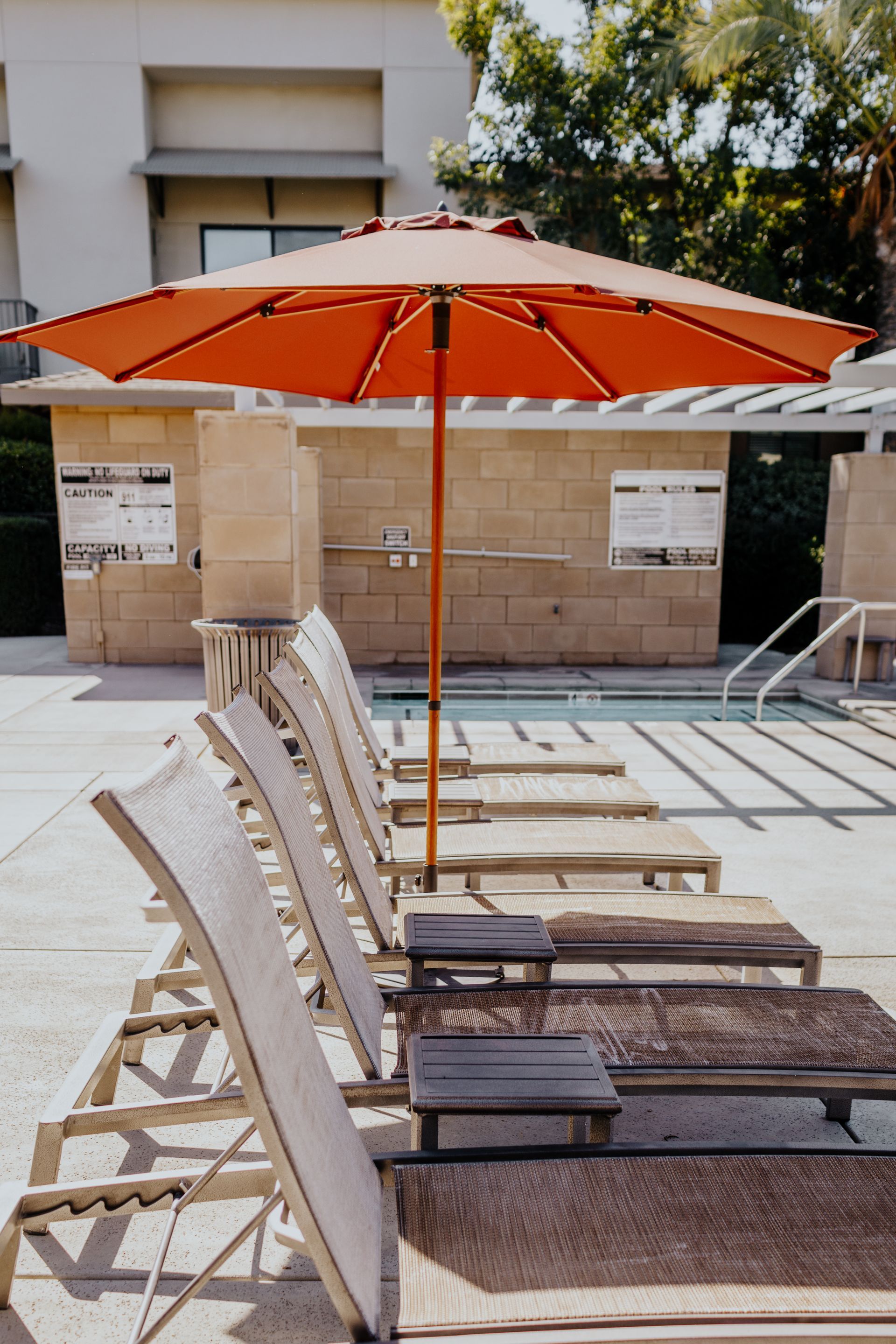 A row of lounge chairs are lined up next to a swimming pool.