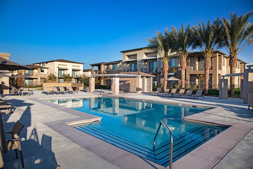 A large swimming pool in front of a building with palm trees