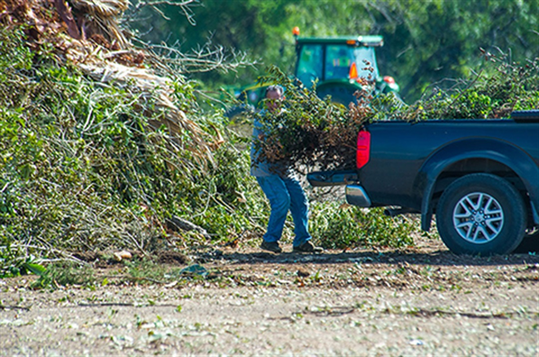 Person stands by a dark pickup truck on a dirt roadside near a green hillside and tractor.