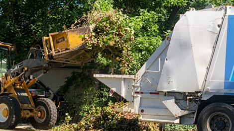 Yellow excavator loading branches into a white wood chipper in a wooded area.