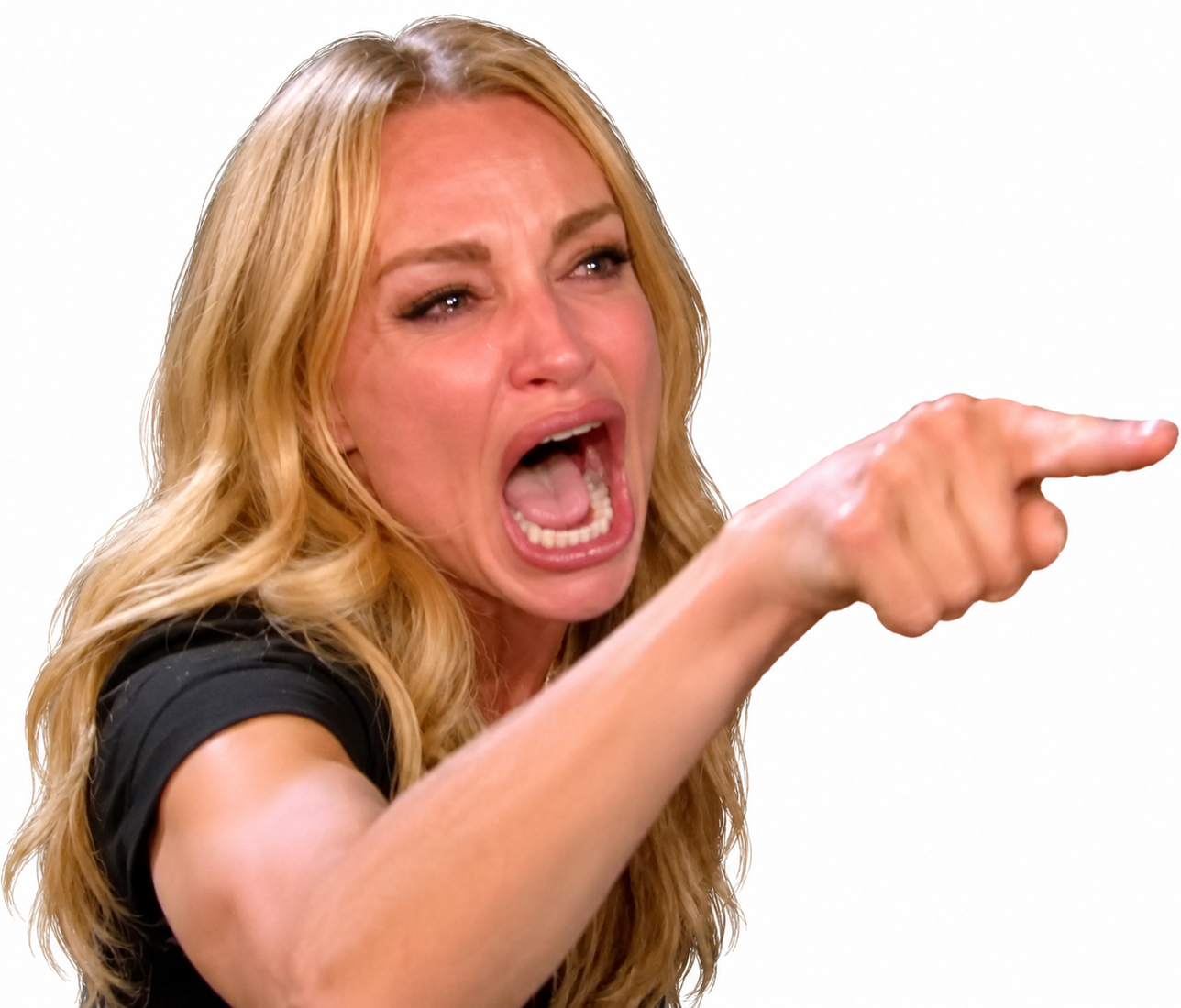 lady pointing and mad at cat meme
