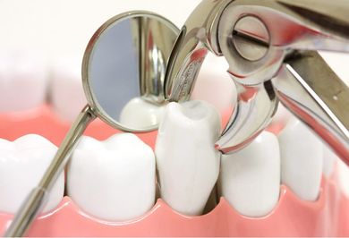 Dental tools (mirror, forceps) poised to extract a tooth from a model of gums and teeth.