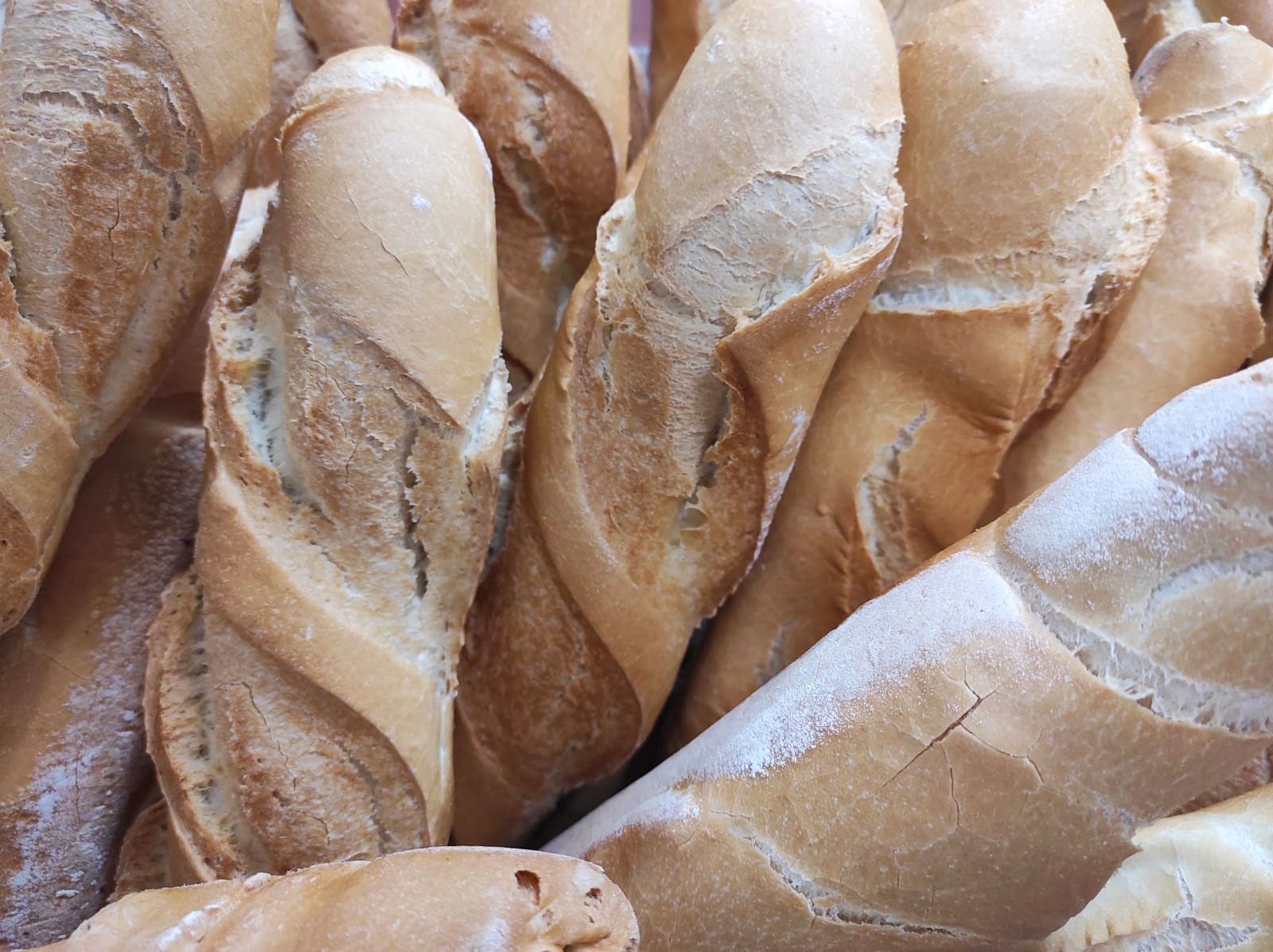 Pane
