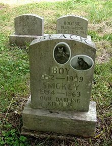 MCHS Aspin Hill Memorial Park Cat Memorial