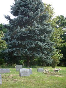 MCHS Aspin Hill Memorial Park