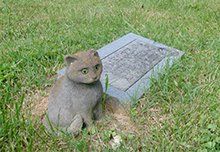 MCHS Aspin Hill Memorial Park Cat Memorial