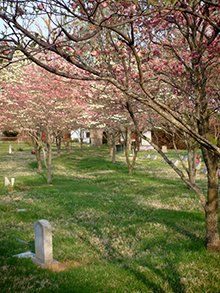 MCHS Aspin Hill Memorial Park in the Spring