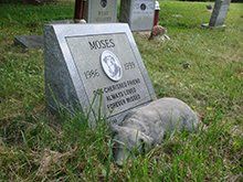 A dog statue and tombstone at the Aspin Hill Memorial Park