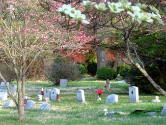 MCHS Aspin Hill Memorial Park