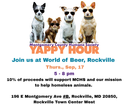MCHS events support our work