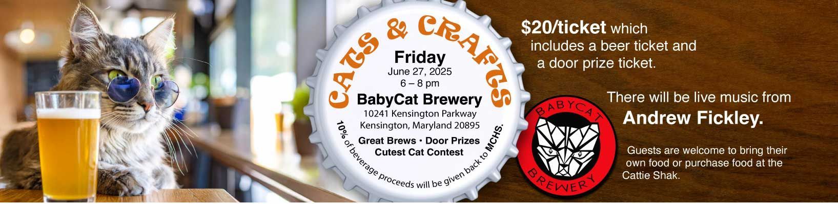 A poster for lazy cat brewery with a cat in the background