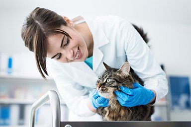 Hanna's Clinic services with Montgomery County Humane Society