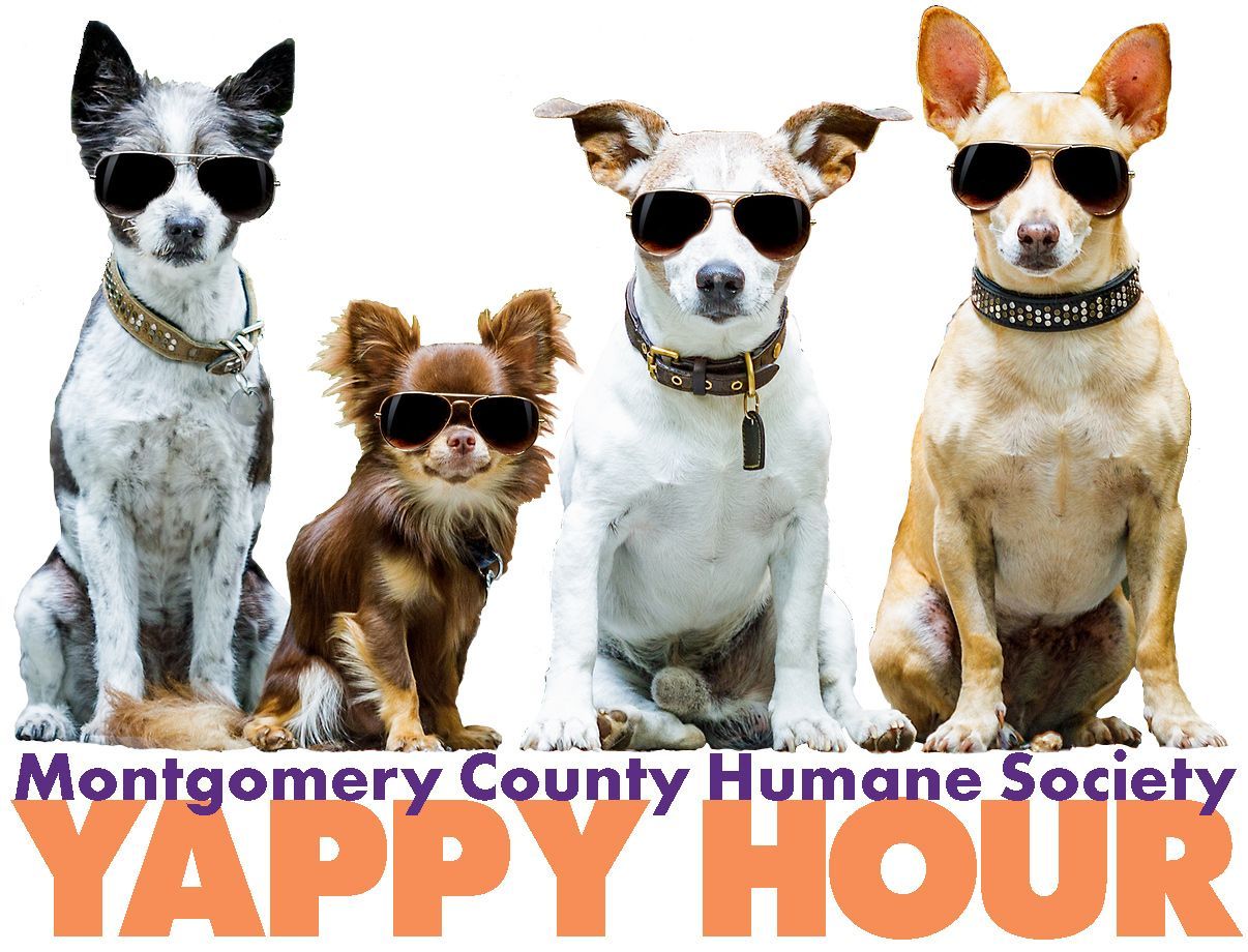 A Postcard for the montgomery county humane society yappy hour