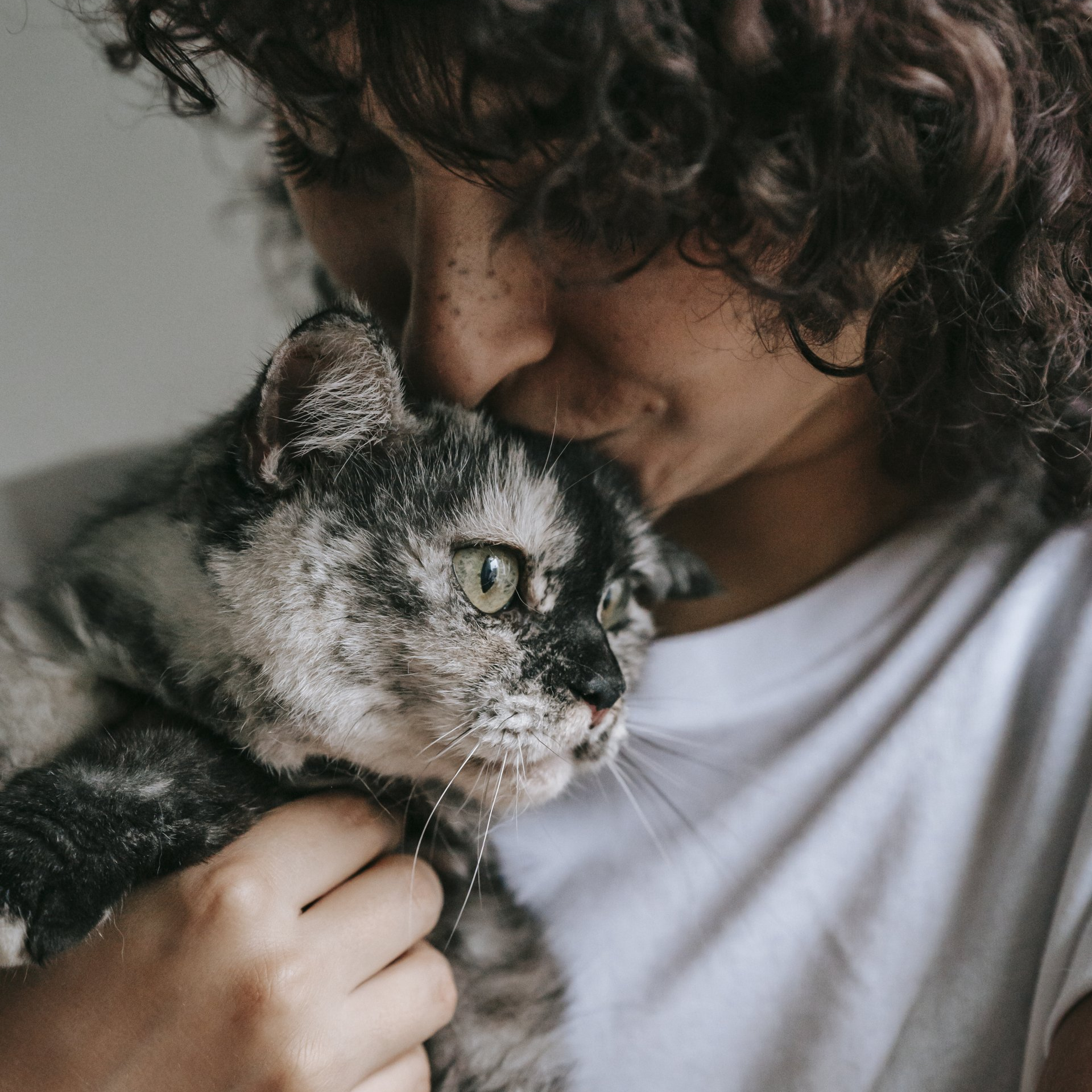 MCHS Woman with adopted cat donate today