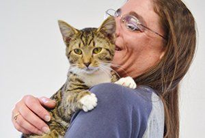 How to help MCHS and cats/dogs in need