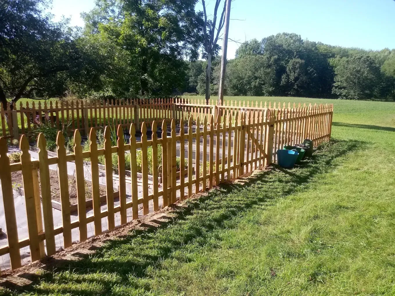 Wooden fence around a grassy yard beside a small garden pond, with trees and a blue sky.
