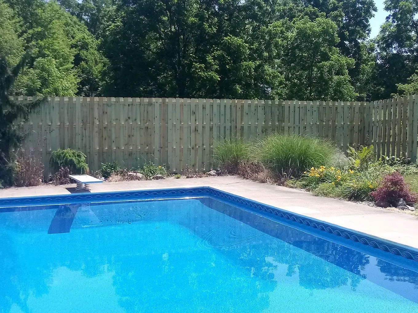Backyard swimming pool with bright blue water, patio, fence, and trees in the background