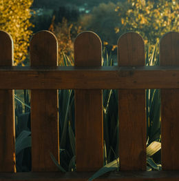 Weathered wooden fence with rounded slats in warm sunlight, with tall green plants behind it