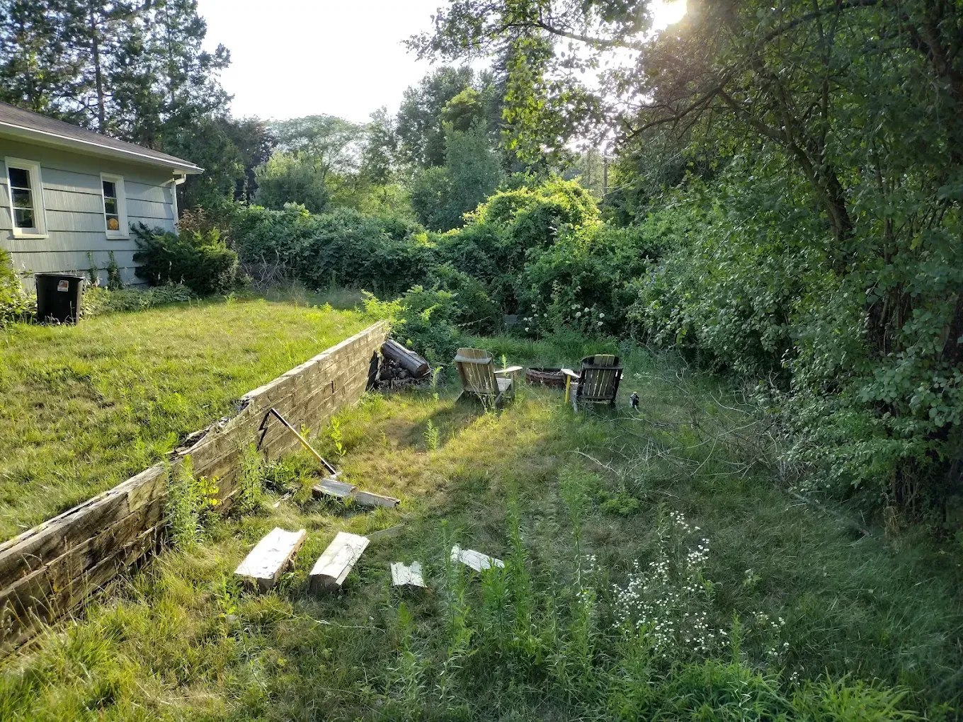 Overgrown backyard beside a house, with weeds, logs, and a concrete retaining wall.