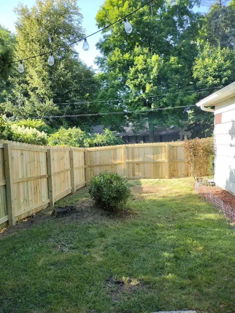 Small fenced backyard with green grass, a shrub, and tall trees in bright sunlight