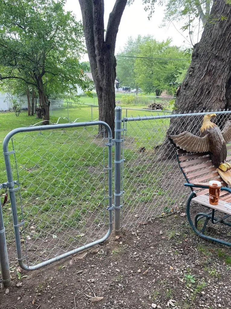 Backyard chain-link gate beside a tree and picnic table with a wood pile.