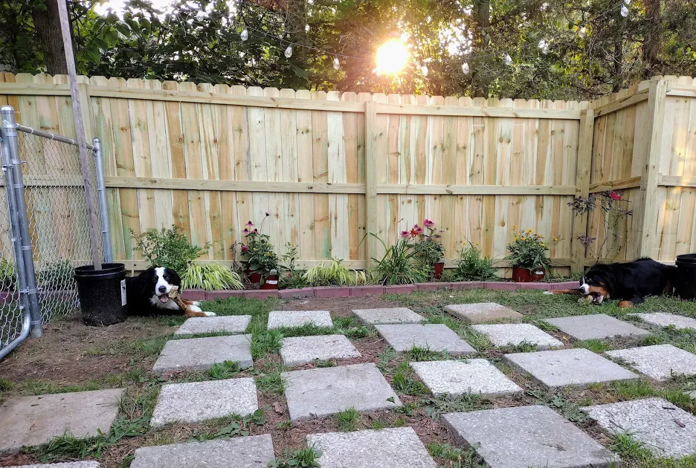 Backyard patio with square stepping stones, flower beds, wooden fence, and two black cats at the edges.