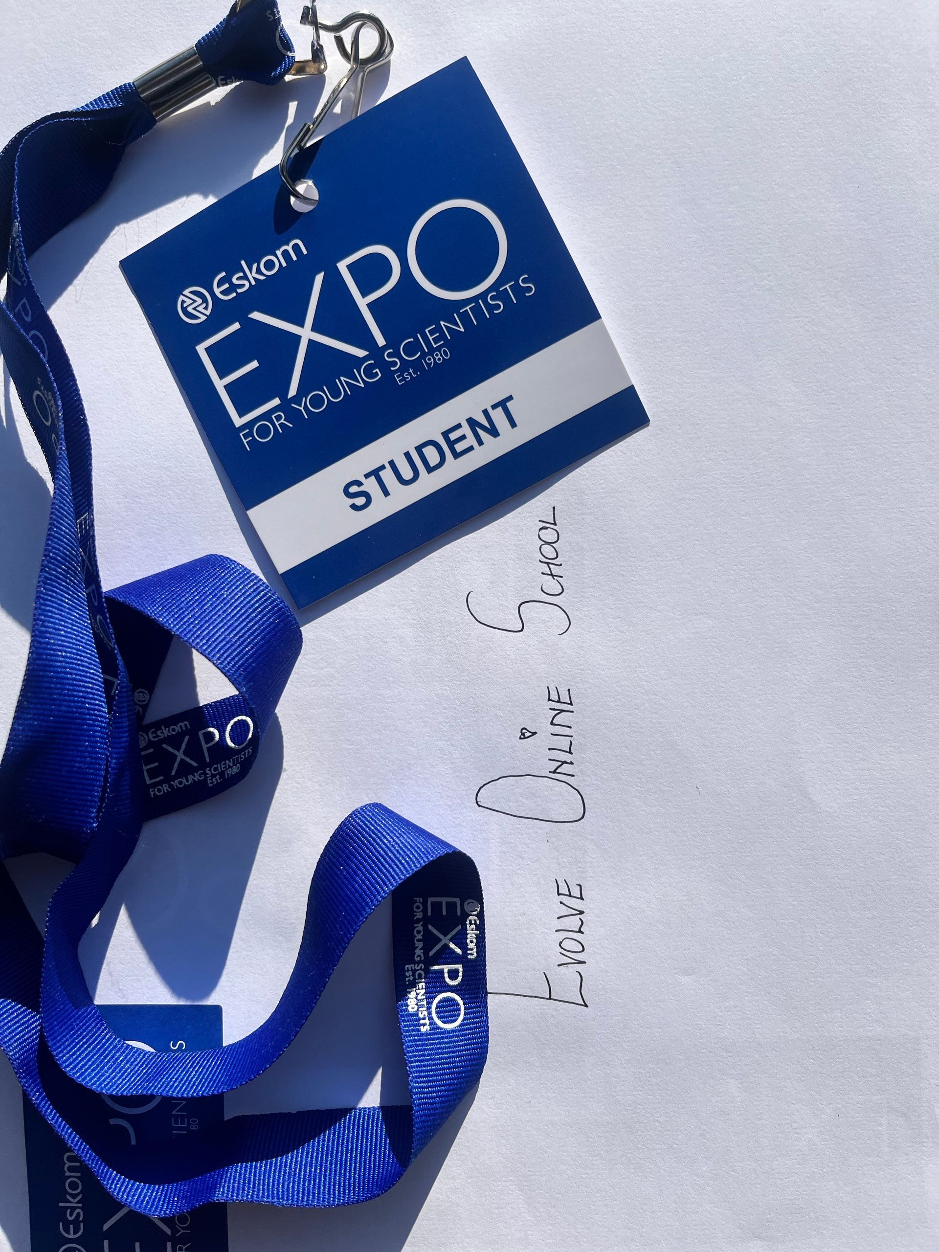 Eskom Expo, Young Scientist