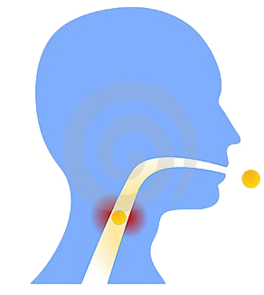 North Shore Ear Nose and Throat