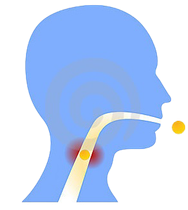 North Shore Ear Nose and Throat