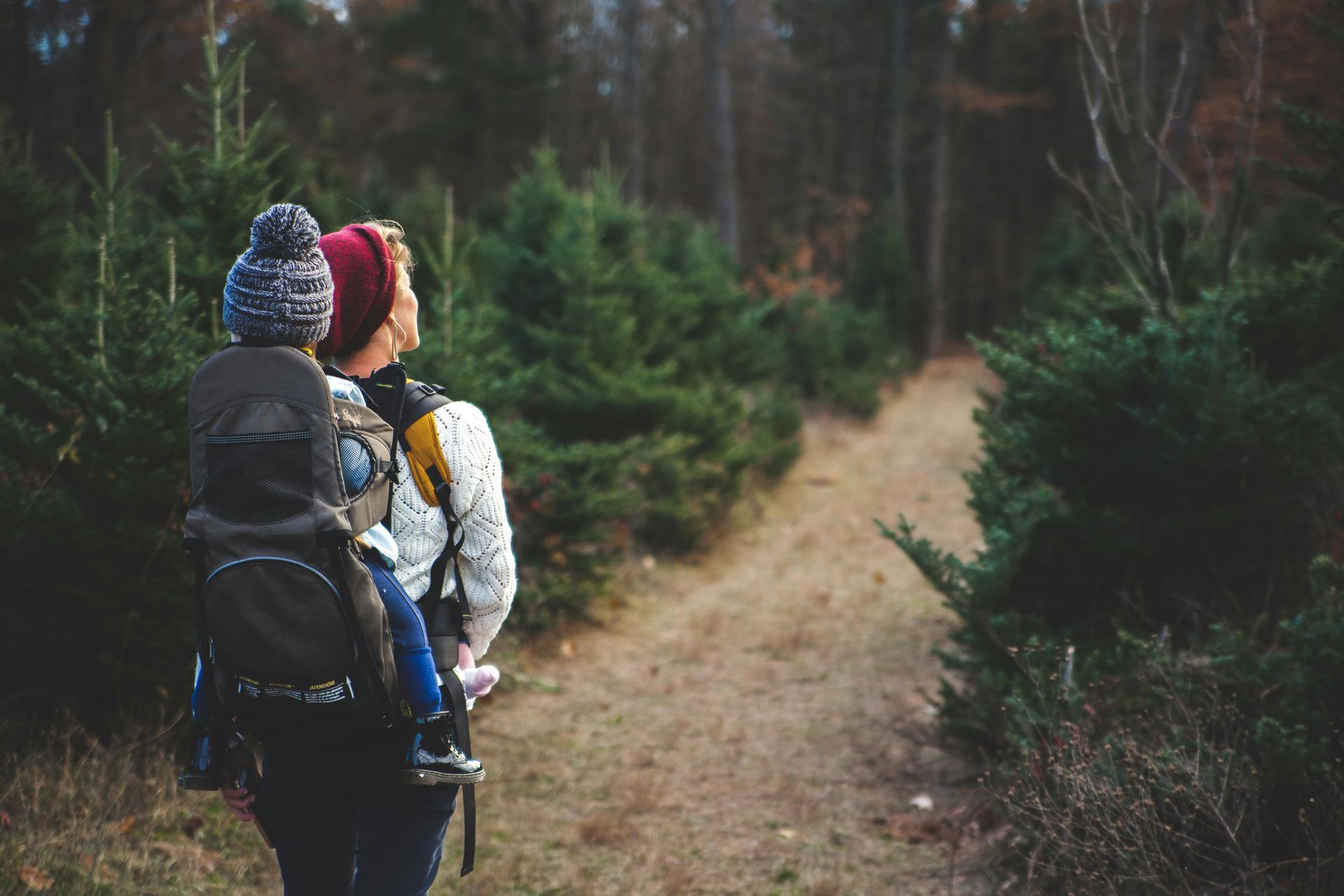 Person carrying a child on a forest path; both looking up. The person wears a red hat and the child a blue beanie.