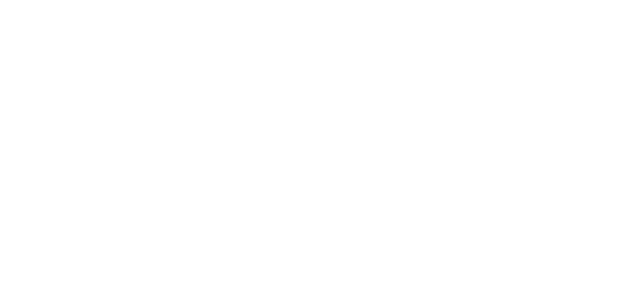 Blank white image with a thin black line near the bottom edge