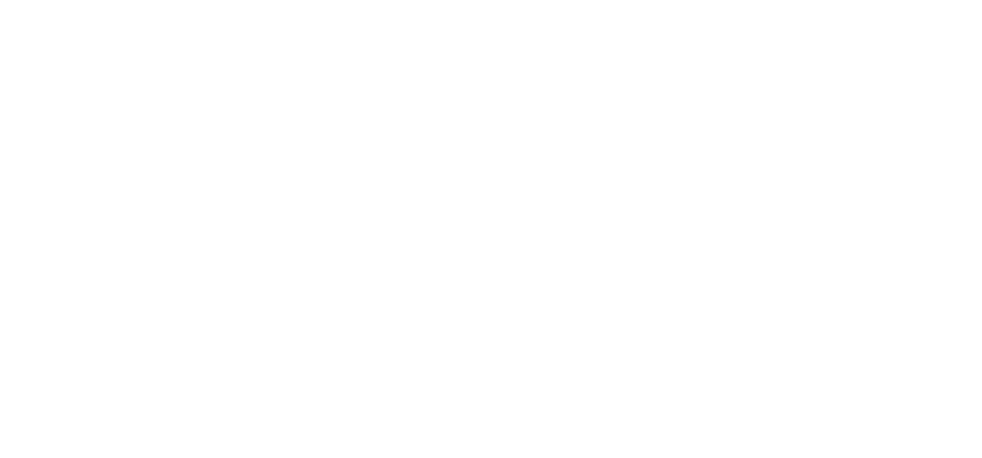 Blank white rectangular image with a thin black line near the bottom