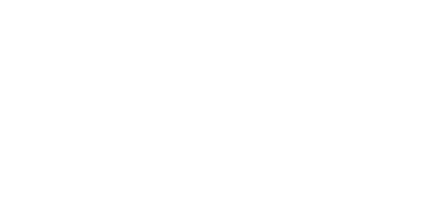 Blank white image with a few faint black marks near the bottom center