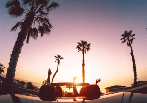 Silhouetted lowrider at sunset with palm trees and a glowing pink sky
