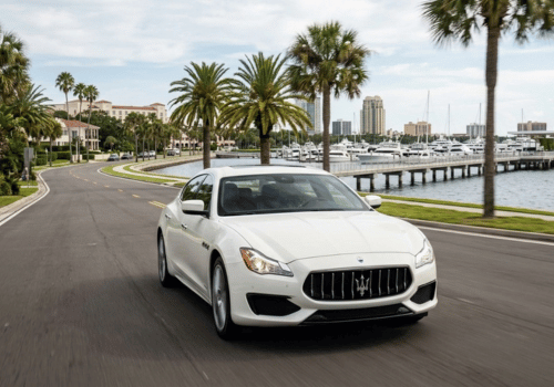 White Maserati sedan driving along a palm-lined waterfront road