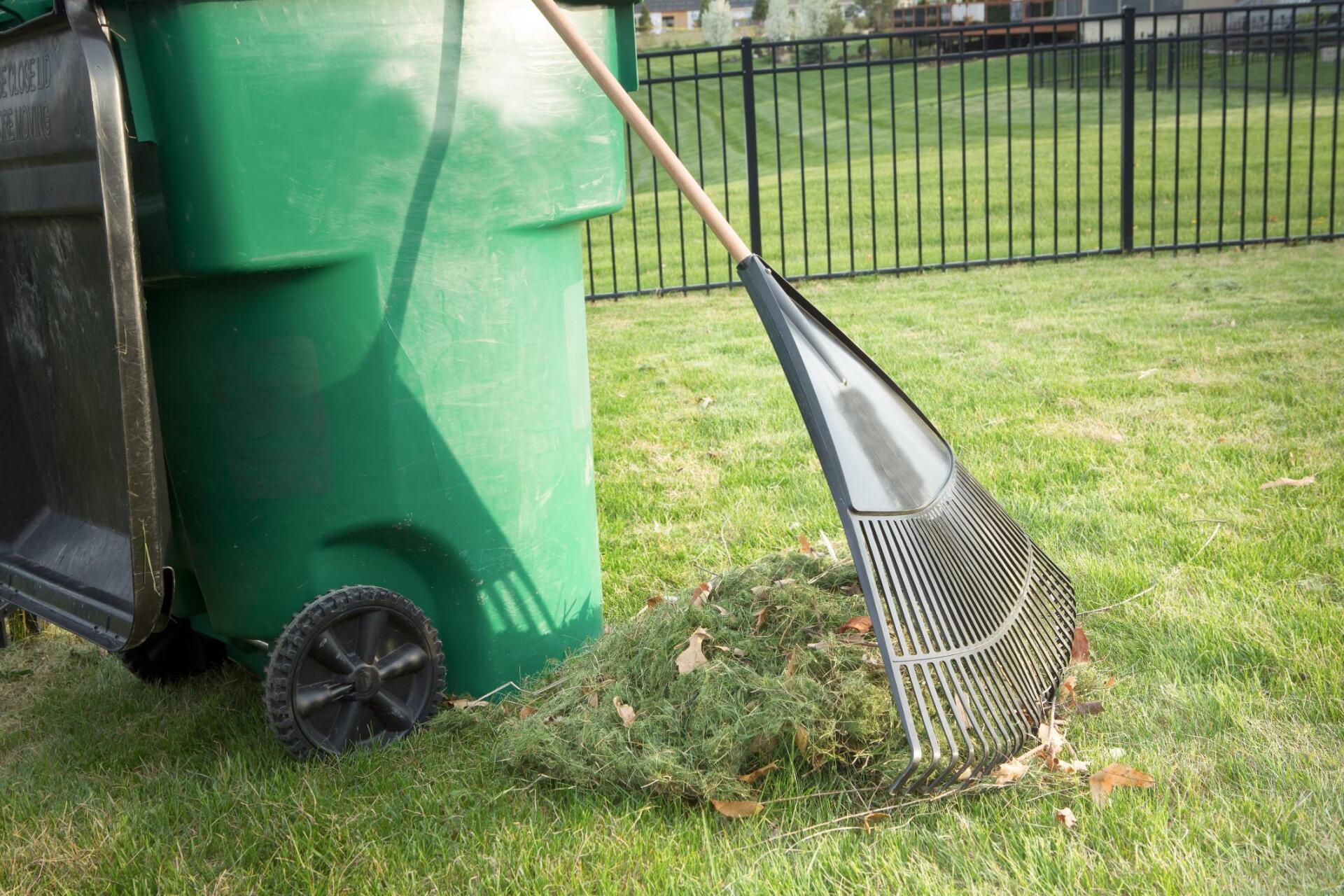 Junk Removal, Storm Debris Removal Near Me, Guelph, ON