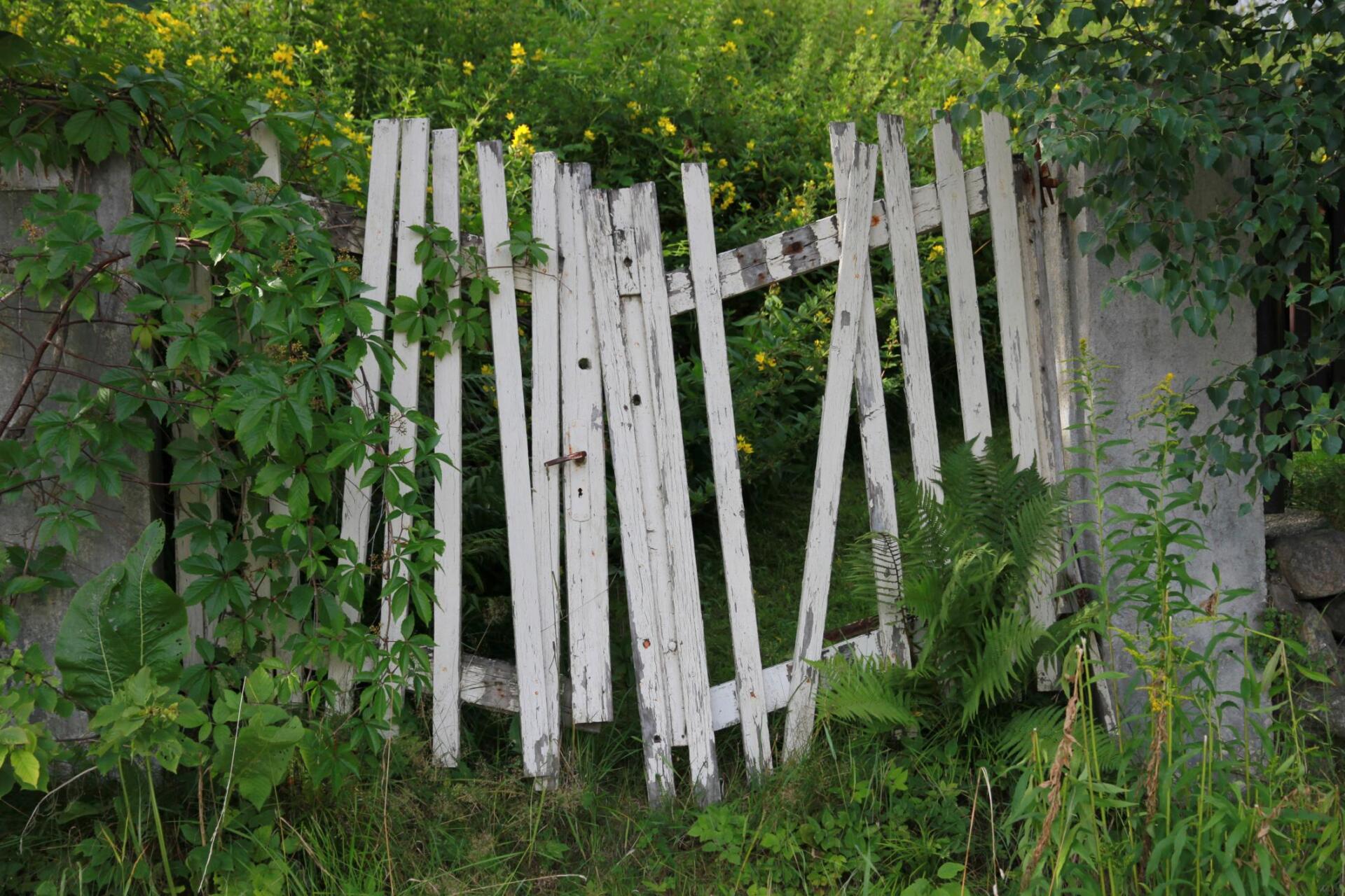 old fence in the yard