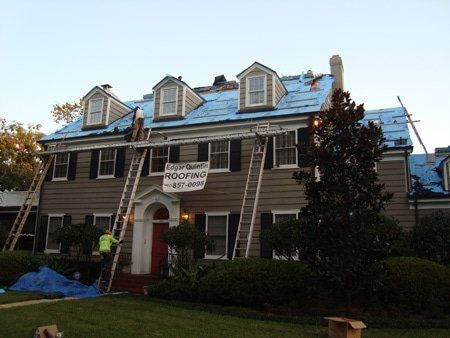 Roofers on ladders replacing a house roof with blue underlayment.