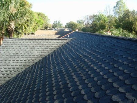 Dark gray, scalloped shingles on a roof, with trees and a light sky in the background.