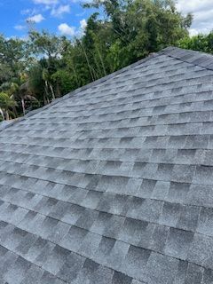 Gray asphalt shingle roof on a sunny day with green trees in the background.
