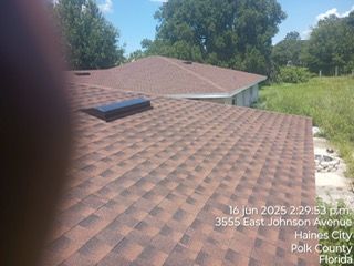 Brown shingled roof with a skylight, trees, and tall grass in Haines City, Florida.