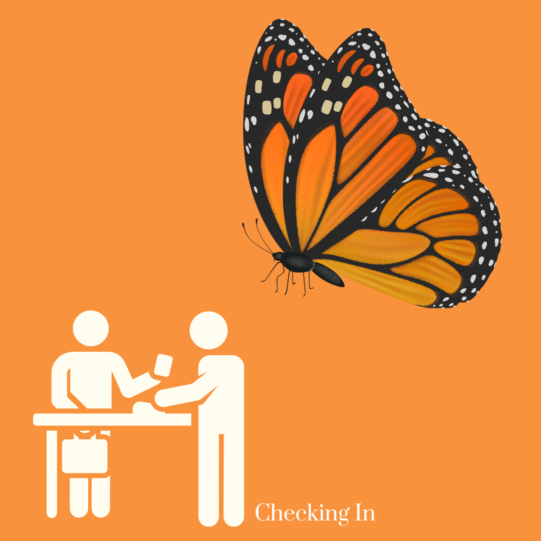 A butterfly hovering a checking in area