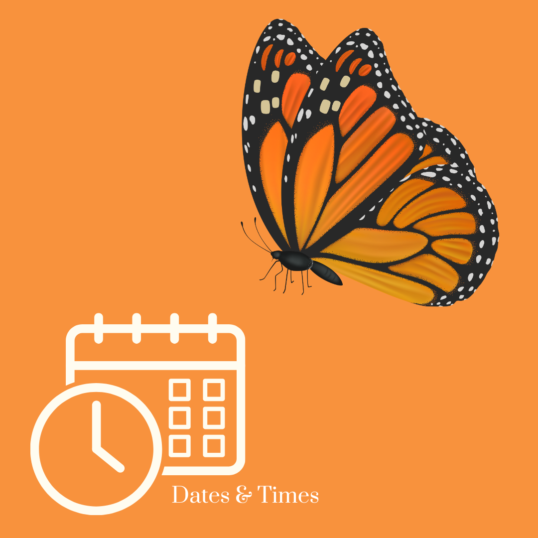 a butterfly and a calendar