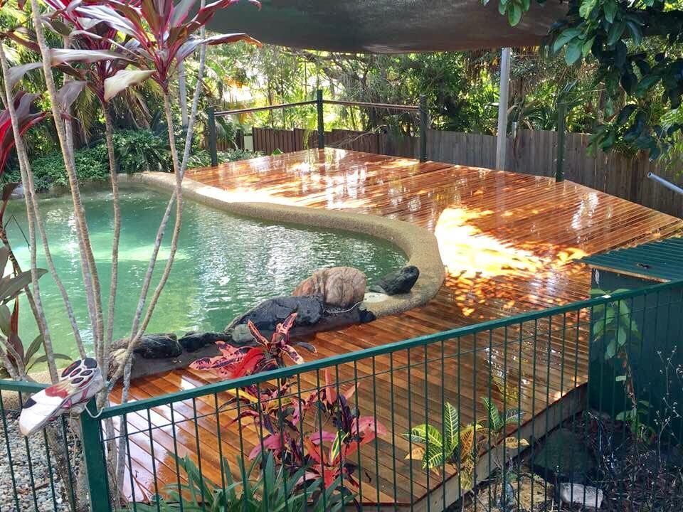 A Dog is Laying on a Wooden Deck Next to a Swimming Pool — NGK Constructions In Freshwater, QLD