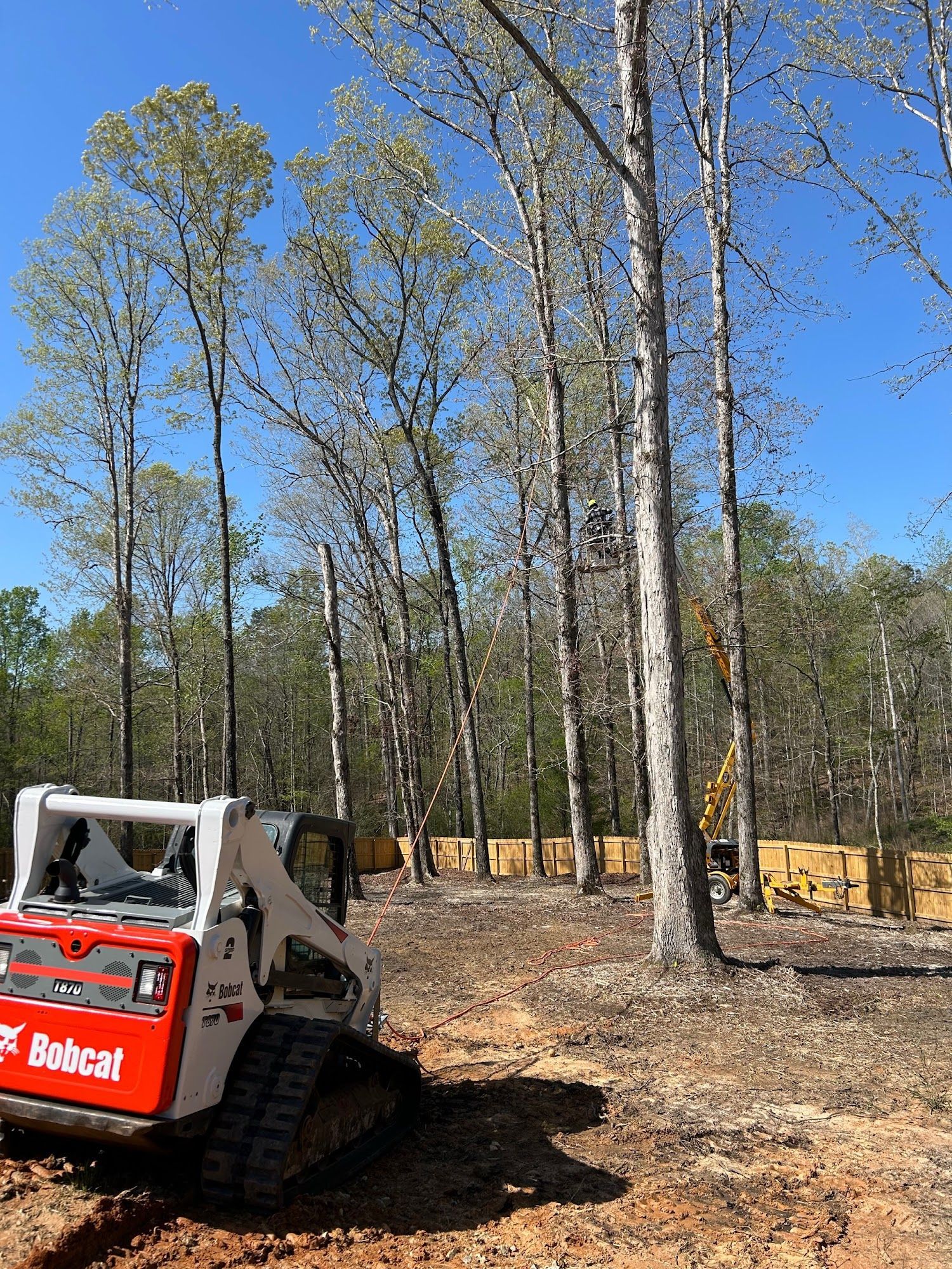 Bobcat skid-steer in a clearing with trees, surrounded by wooded area on a sunny day.