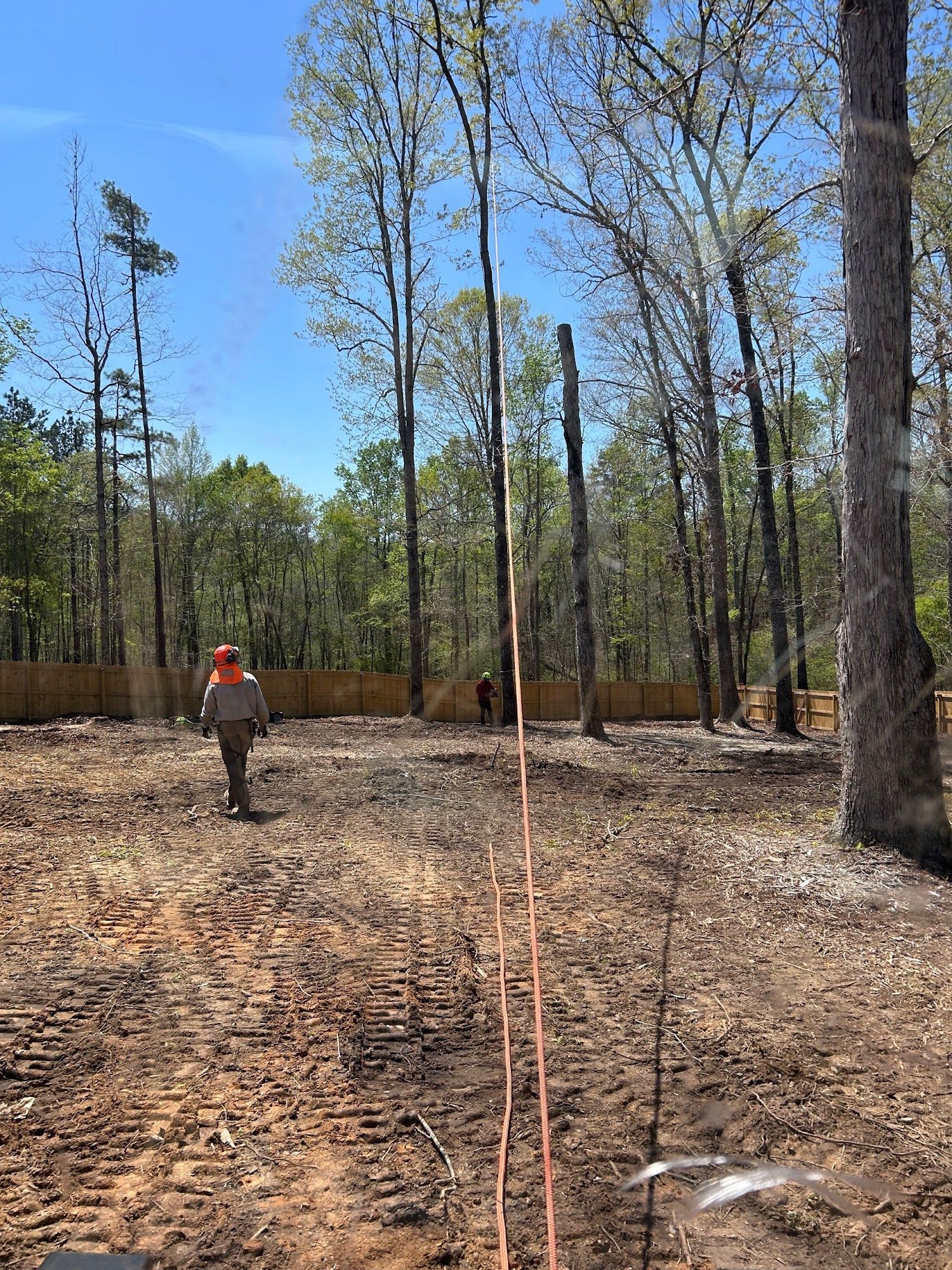 Person walking on cleared land marked with string lines, surrounded by trees and a fence on a sunny day.