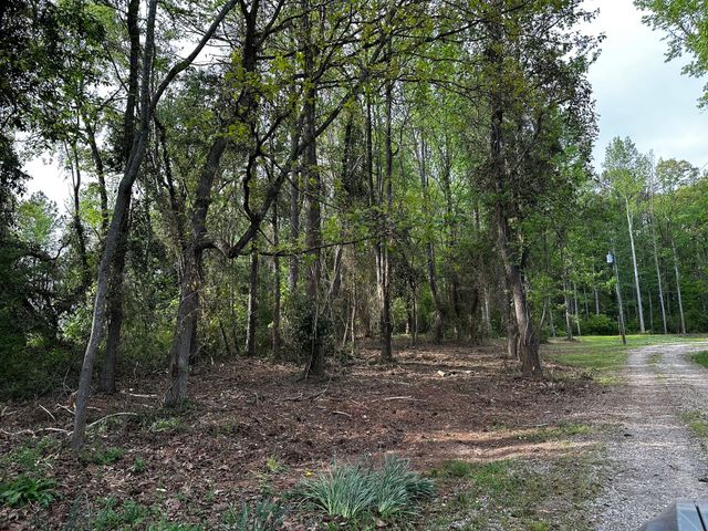 Aerial before and after of a wooded North Georgia lot: dense pine and undergrowth on top, the same ground cleared and opened below.