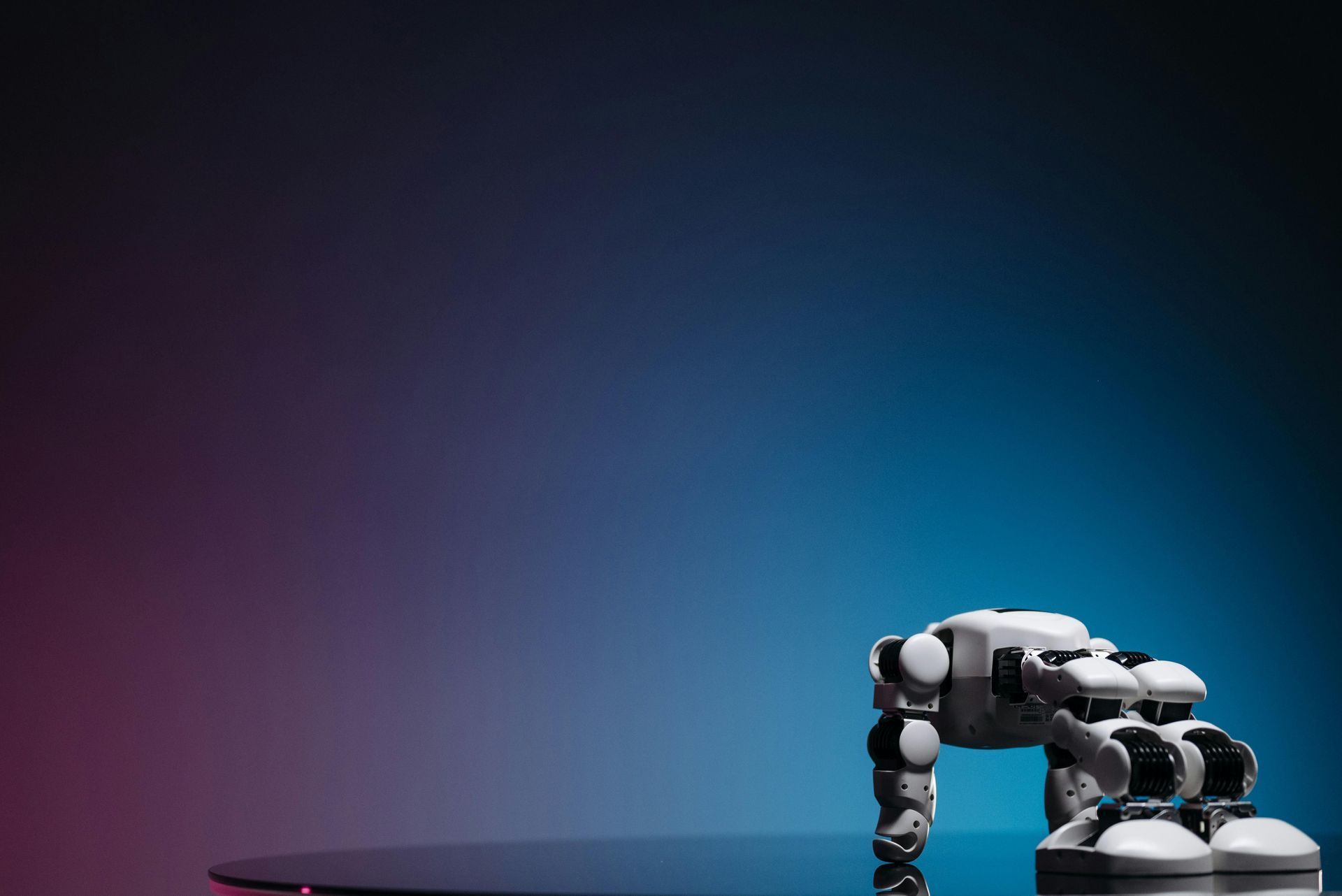 AI chatbot technology providing automated customer service and business support around the clock