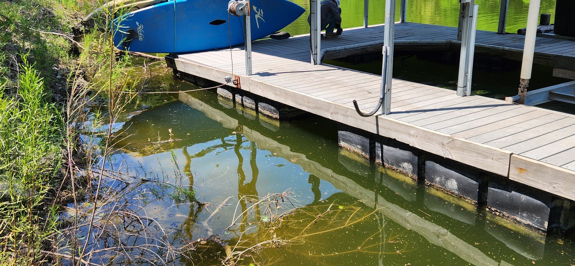 Dock with a blue paddleboard, in murky water with green vegetation.
