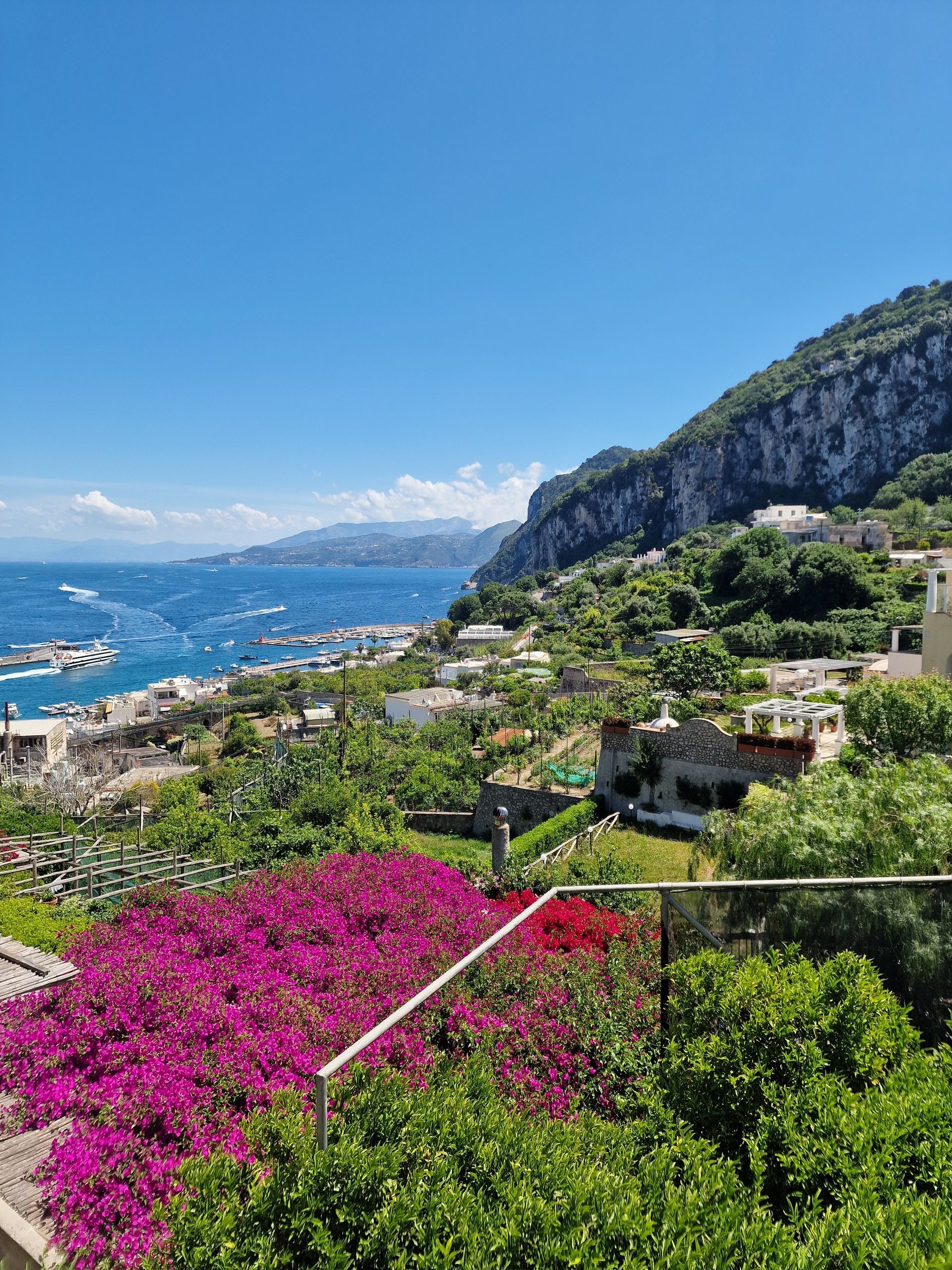 Bright coastal hillside with magenta flowers, blue sea, boats, and rocky cliffs under a clear sky